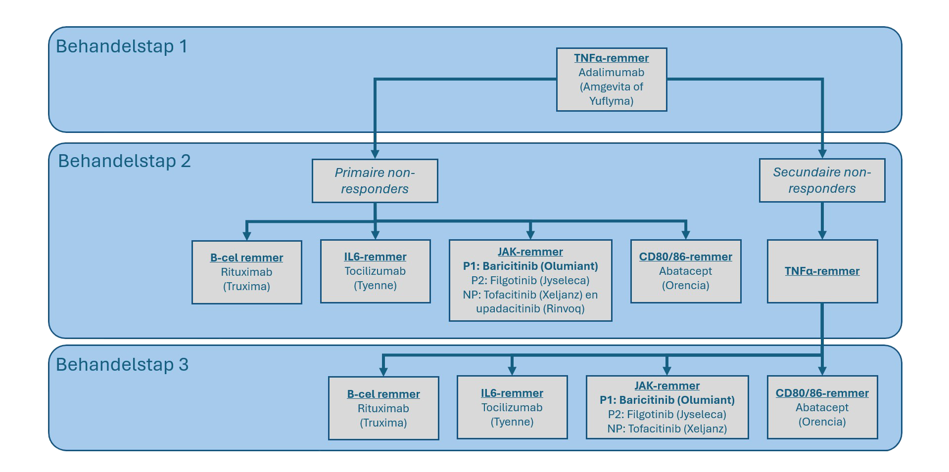 Zorgpad-RA-2025-met-rinvoq Zorgpad-RA-2025-met-rinvoq